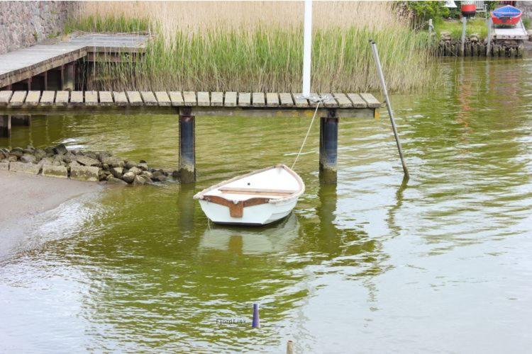 فندق Hausboot Fjord Aries Mit Dachterrasse In شلسفيغ المظهر الخارجي الصورة
